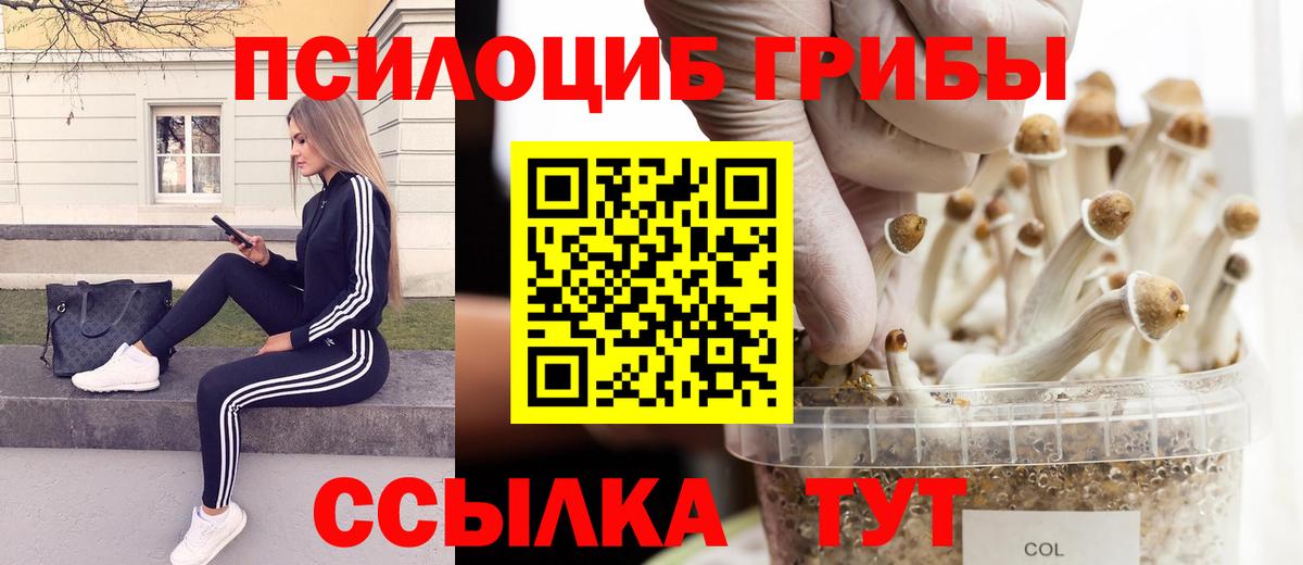 Галлюциногенные грибы мухоморы  Вход с VPN  Урай  Псилоцибиновые грибы Psilocybe 